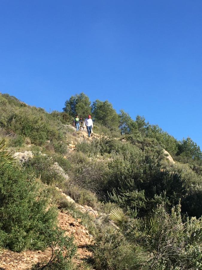 Casa Les Olives - Adults Only Konuk evi Benigembla Dış mekan fotoğraf